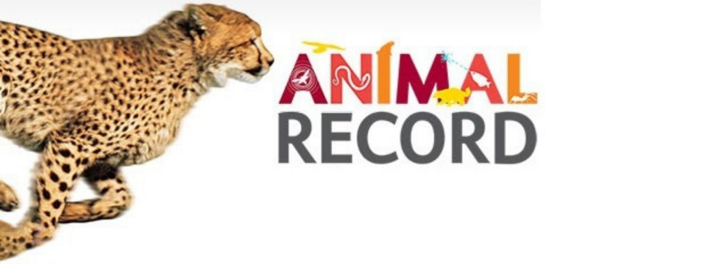 Zaujímavé športové rekordy zvierat, ktoré si zaslúžia našu pozornosť. - 9